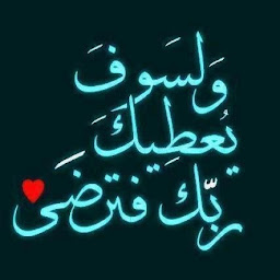 Amr Elhosiny