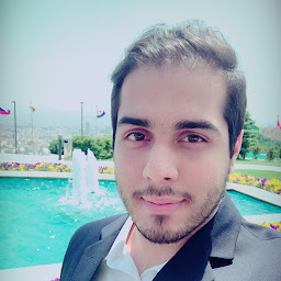 Moein Alizadeh