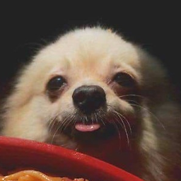 Deiv