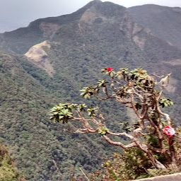 Keeran Parthipan