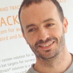 Paulo E. Cardoso