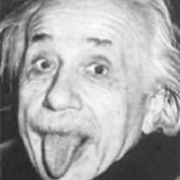 Karl Wilbur