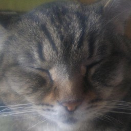 daboross
