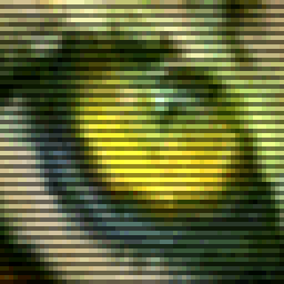 TiGR