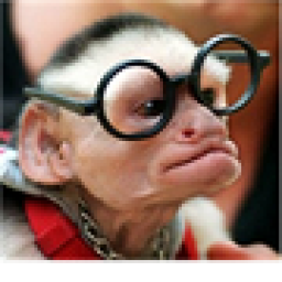 AndrewC