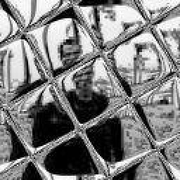 Erkki Nokso-Koivisto