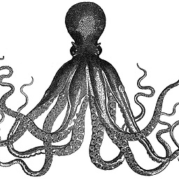 Kraken