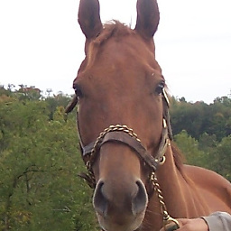 TrailRider