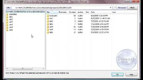 TortoiseSVN (Subversion) Tutorial