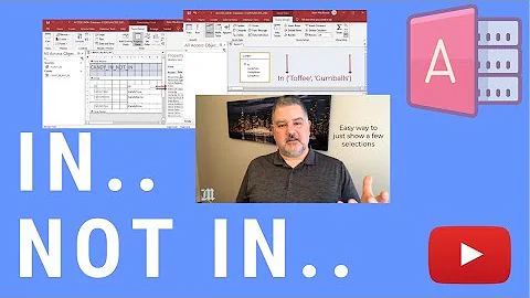 How to use In.. Not In.. to include or exclude multiple values in Microsoft Access