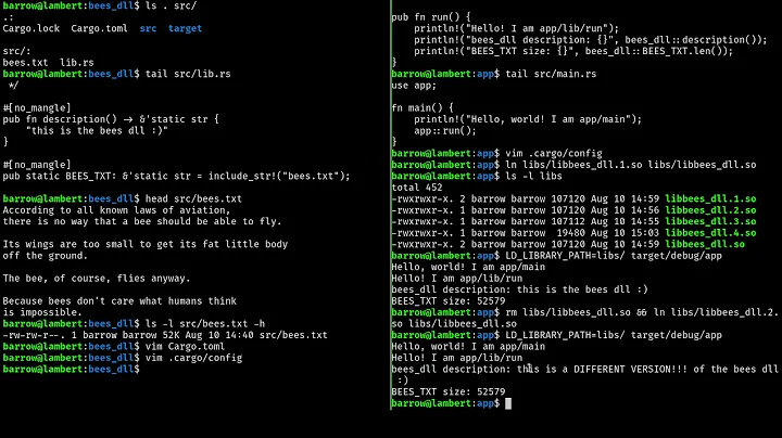 rust dynamic libraries demo