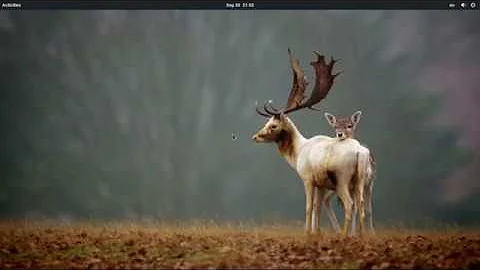 Install gnome shell extensions manually 👐 😌