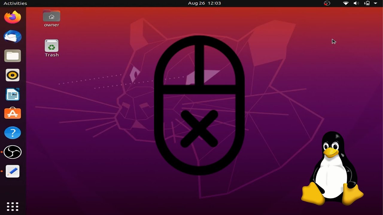 How To Fix The Mouse Problem On Ubuntu Linux *SOLVED*