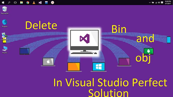 Delete bin and obj in Visual Studio