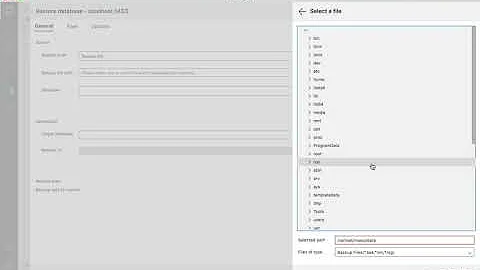 Restore MSSQL Database from .bak file using Docker & Azure Data Studio on MacOS