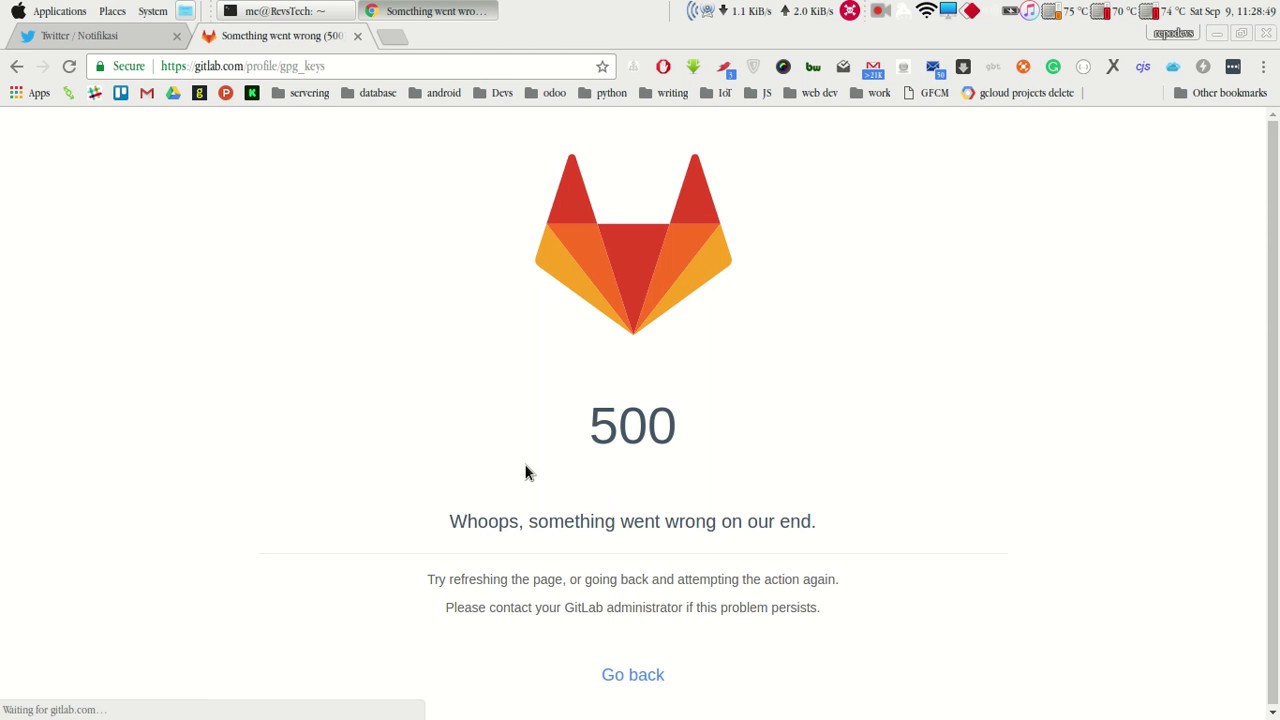 GitLab 500 error when adding GPG Keys
