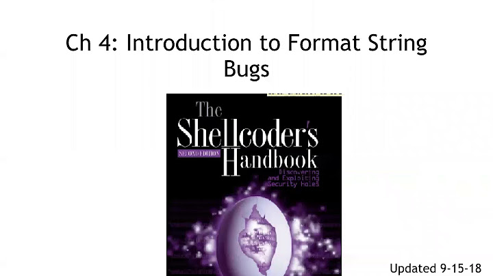 CNIT 127: 4: Format string bugs
