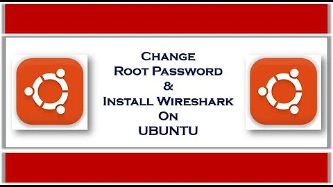 Capture UDP Socket Datagram in Wireshark.
