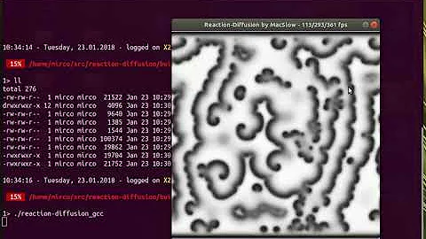 simple g++ vs clang++ benchmark with reaction-diffusion