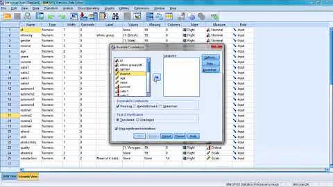 SPSS 24 Tutorial 9: Correlation between two variables