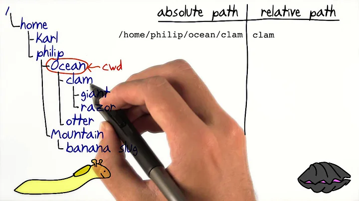 Absolute and Relative Paths
