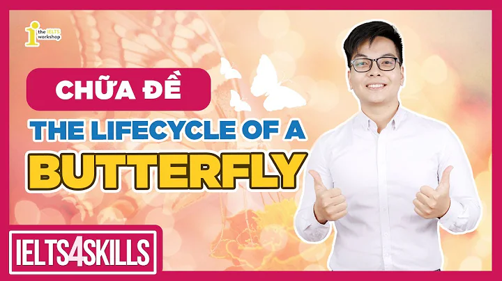 CHỮA ĐỀ IELTS WRITING 2022 - THE LIFE CYCLE OF A BUTTERFLY 🦋| IELTS 4 SKILLS by The IELTS Workshop
