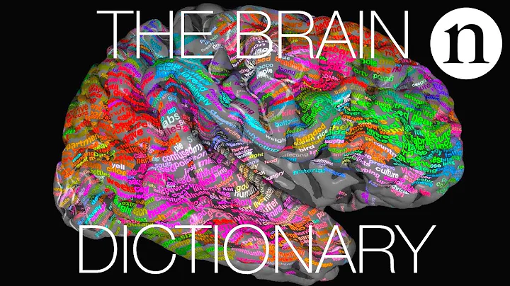 The brain dictionary