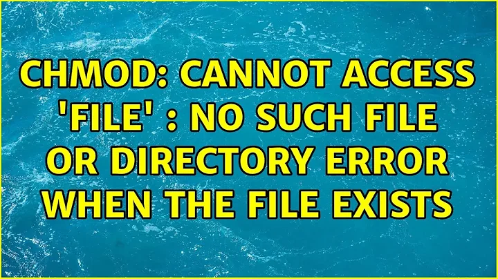 Unix & Linux: chmod: cannot access 'file' : No such file or directory error when the file exists