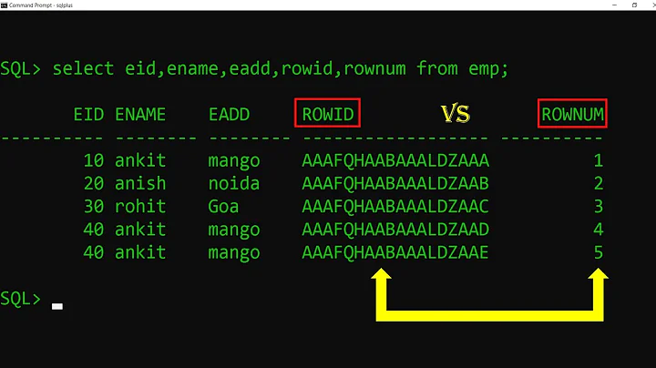 ROWNUM and ROWID in SQL | oracle database