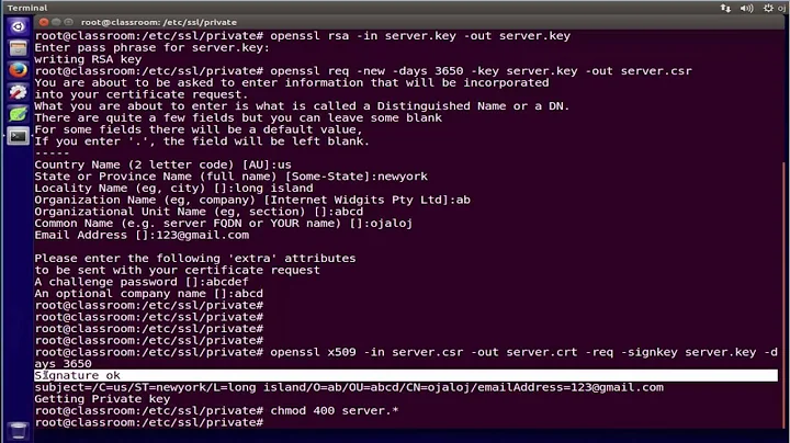 Create a Self Signed SSL Certificate for Nginx  Web Server On Linux