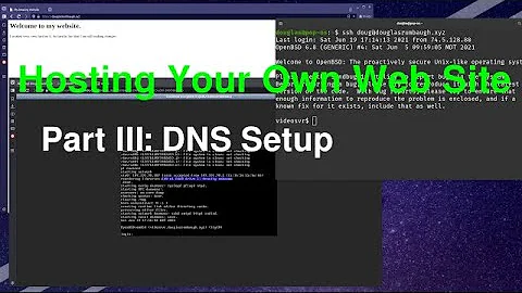 Hosting Your Own Website III: DNS Setup