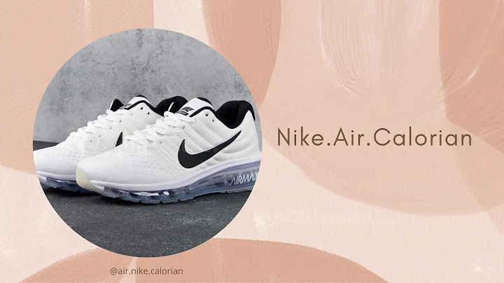 Assignment Principle of Marketing (AFT1053) L2 : Nike Air Calorian